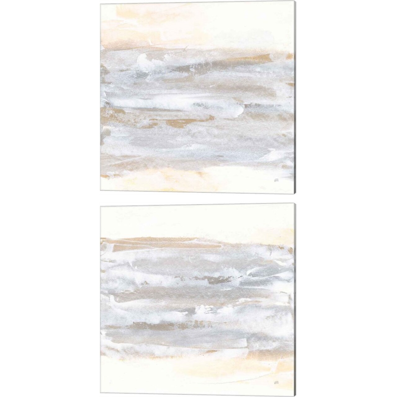 Neutral Texture by Chris Paschke 14" x 14" Canvas Wall Art (Set of 2)
